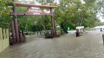 রেমালের প্রভাব: জলোচ্ছ্বাসে তলিয়ে গেছে সুন্দরবন